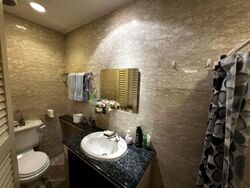 Pasir Panjang Road (D5), Condominium #535715241